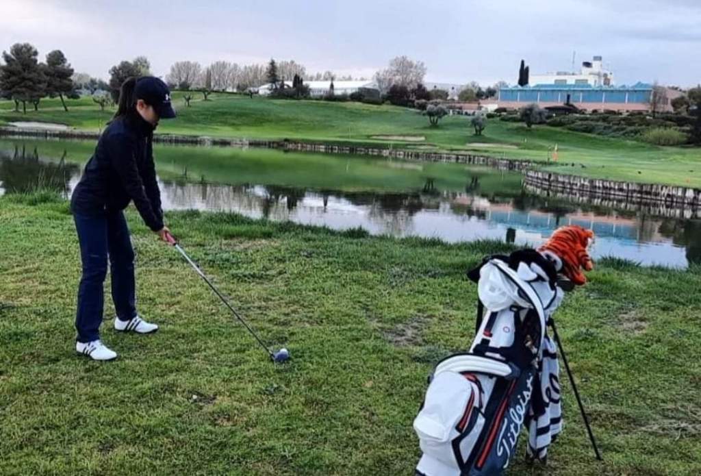 Olivar de la&nbsp;Hinojosa